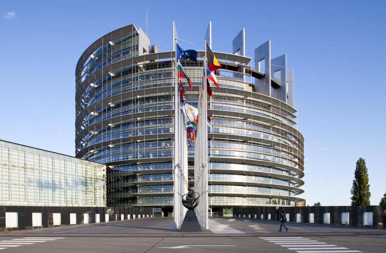 Green Cellar Studio Centre De Strasbourg - 5 Min Conseil De L'Europe Exterior foto